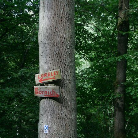 Ferienwohnung Baehr Bornich Esterno foto